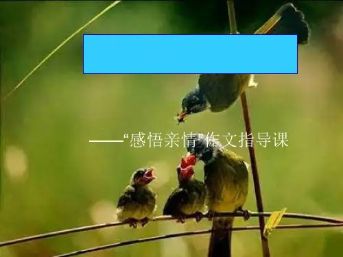 爱的细节在屋檐下感悟亲情作文指导课课件