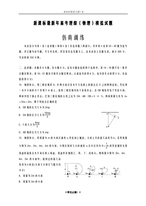 2020-2021学年高考理综(物理)考前仿真模拟试题及答案解析