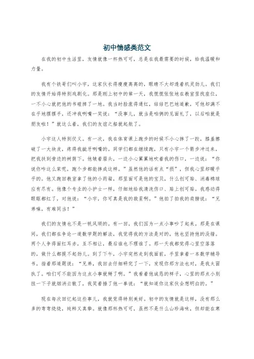 初中情感类范文