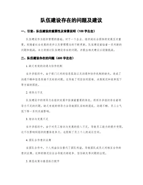 队伍建设存在的问题及建议