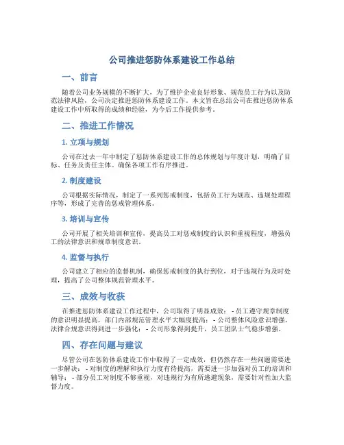 公司推进惩防体系建设工作总结