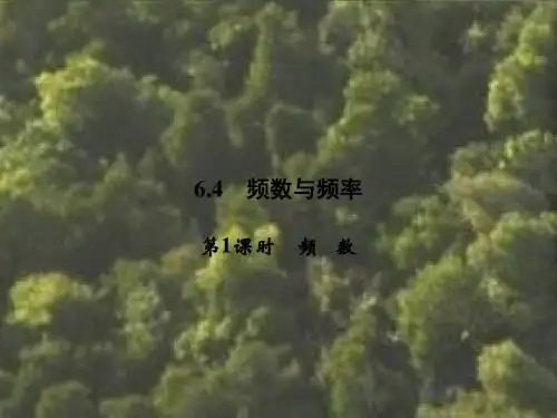 浙教版 七年级下册课件;6.4 第1课时 频数(共8张PPT)