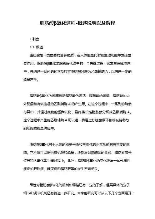 脂肪酸β氧化过程-概念解析以及定义