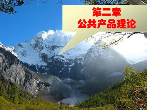 公共经济学2章公共产品理论