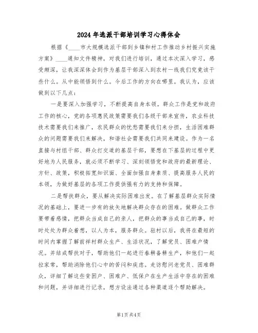 2024年选派干部培训学习心得体会(2篇)