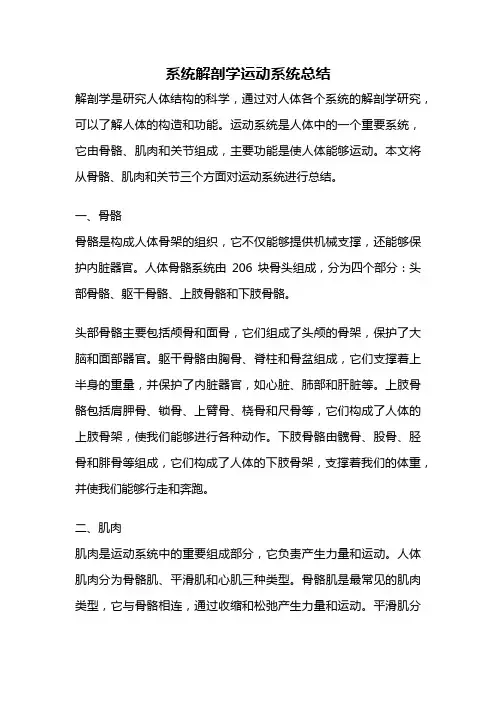 系统解剖学运动系统总结