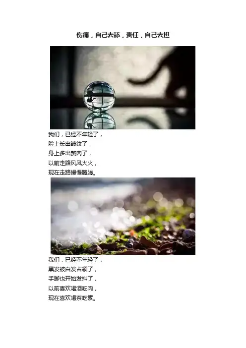 伤痛，自己去舔，责任，自己去担