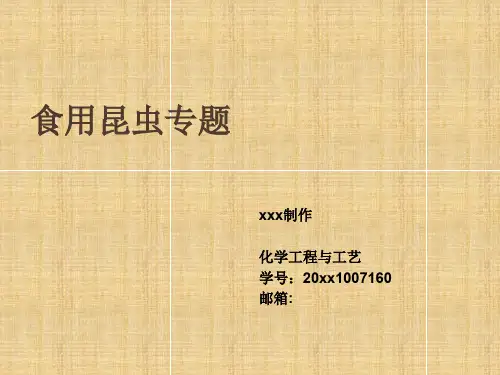 食用昆虫专题  ppt课件