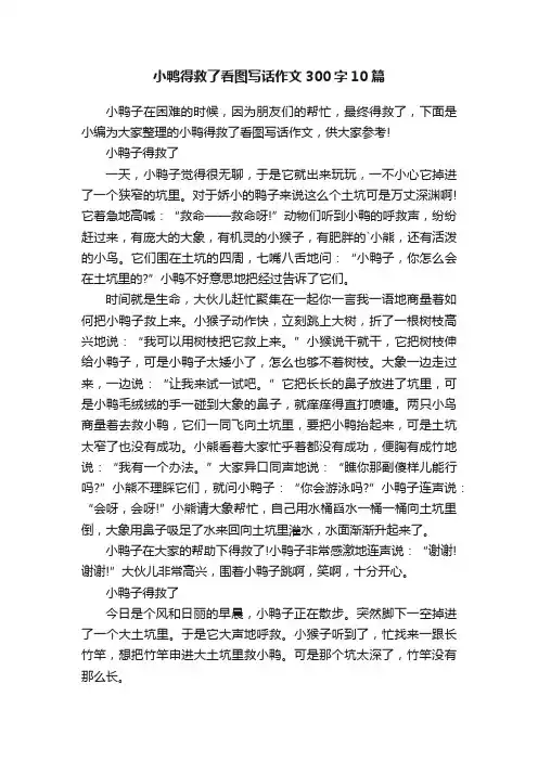 小鸭得救了看图写话作文300字10篇