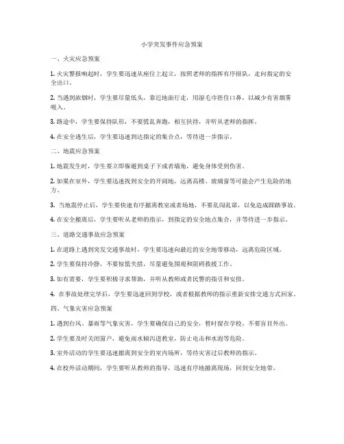小学突发事件应急预案