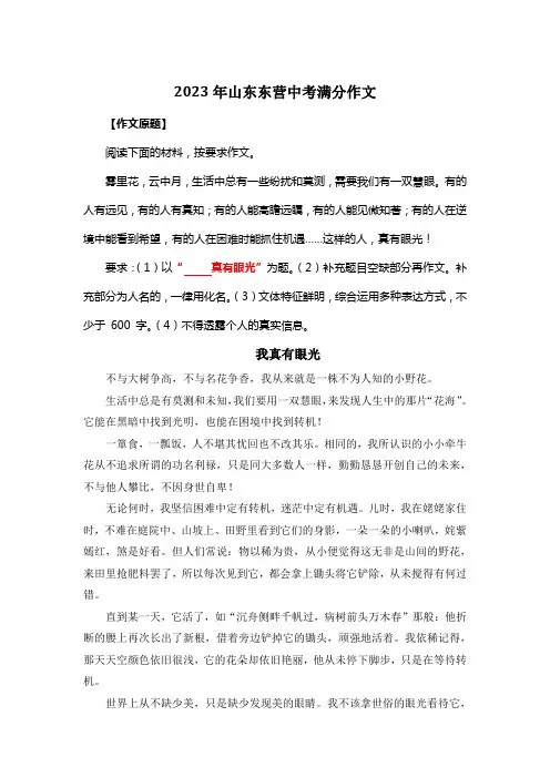 2023年山东东营中考满分作文《我真有眼光》