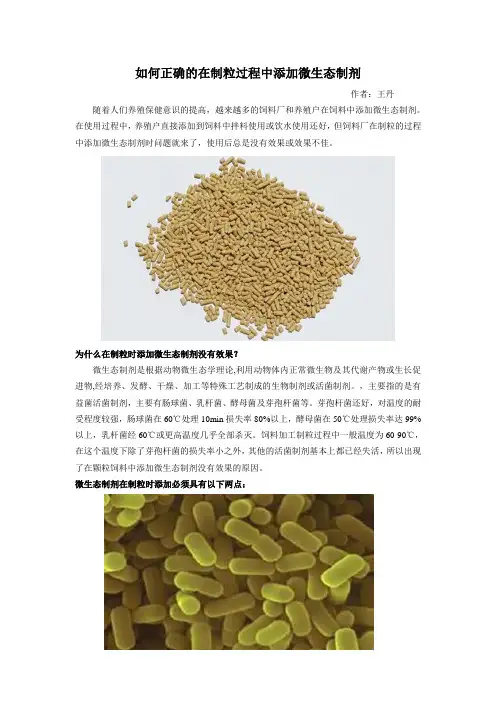 如何正确的在制粒过程中添加微生态制剂