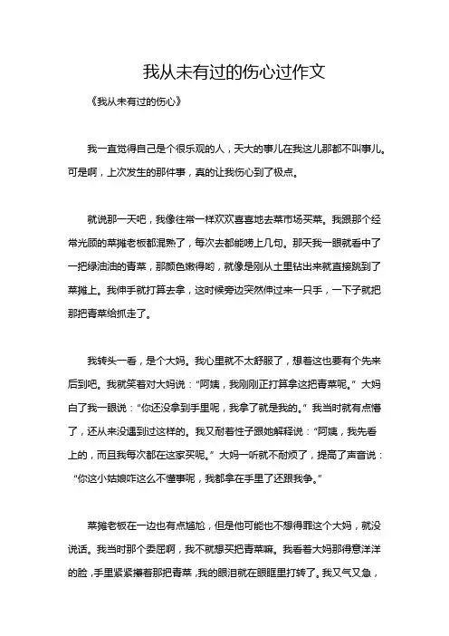 我从未有过的伤心过作文