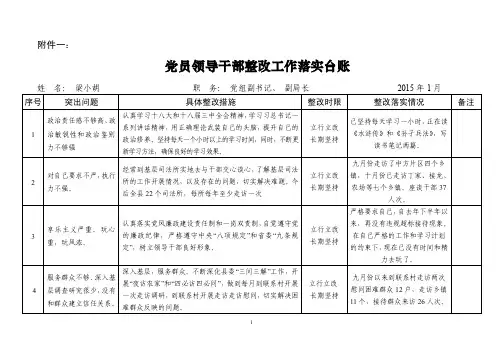 党员领导干部整改工作落实台账【精选文档】