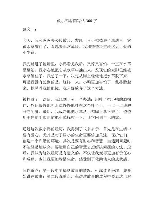 救小鸭看图写话300字