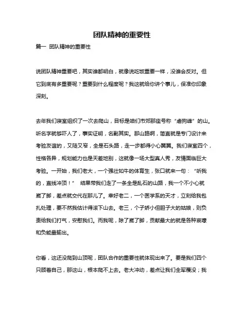 作文《团队精神的重要性》