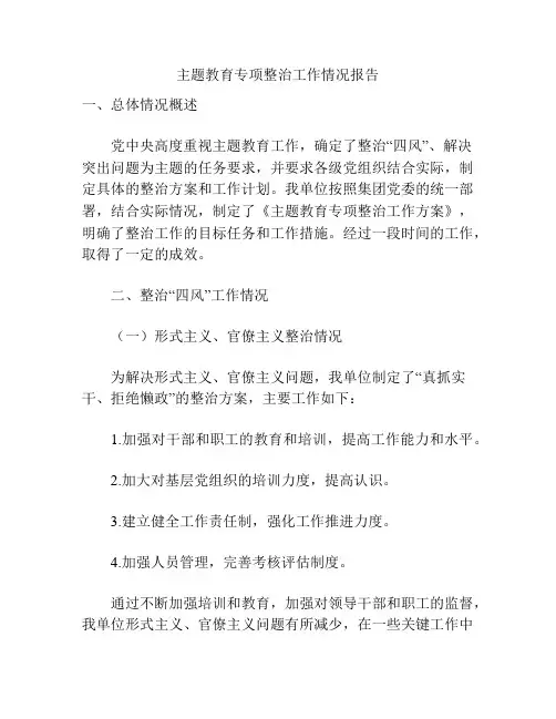 主题教育专项整治工作情况报告