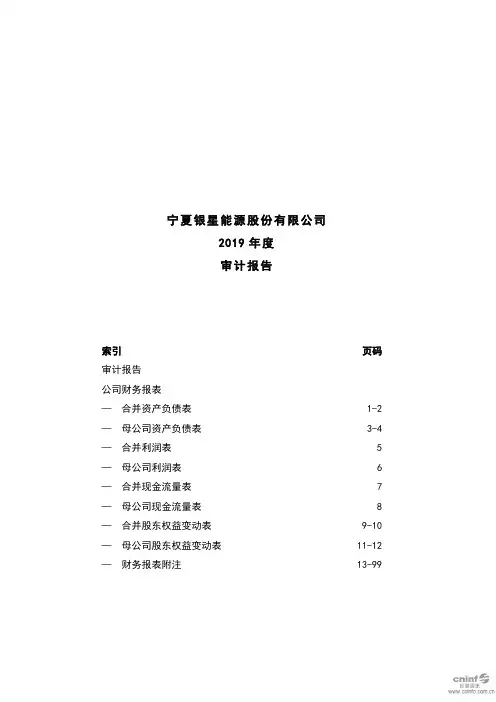 银星能源：2019年年度审计报告