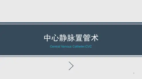 中心静脉置管术PPT课件