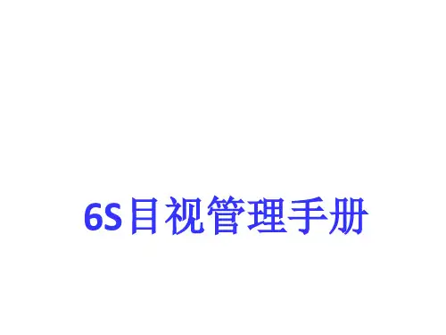 6S目视管理手册