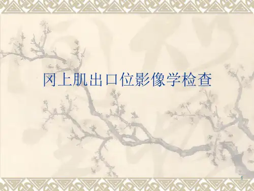 冈上肌出口位影像学检查方法ppt课件