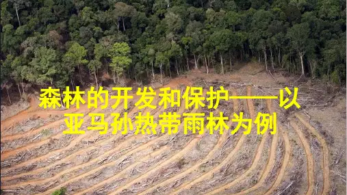 2.2 森林的开发和保护——以亚马孙热带雨林为例 课件-人教版必修三地理(共56张ppt)
