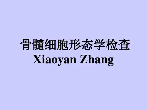 《实验诊断学》骨髓细胞形态学检查