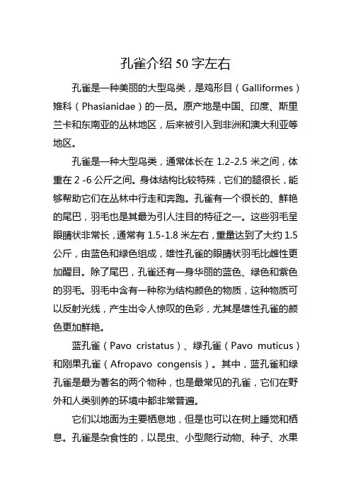 孔雀介绍50字左右