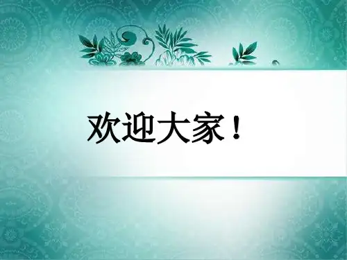 行使法律权利 履行法律义务 PPT