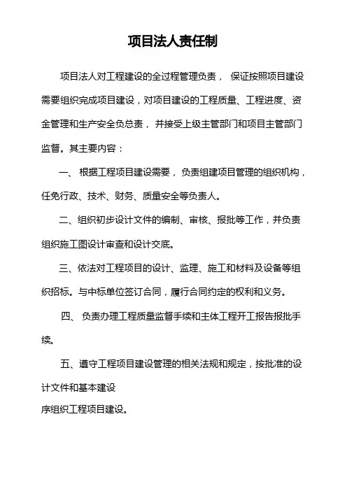 项目法人责任制