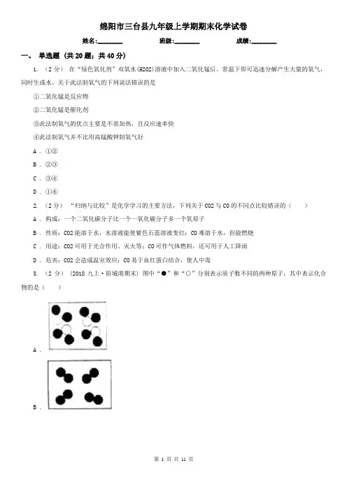 绵阳市三台县九年级上学期期末化学试卷