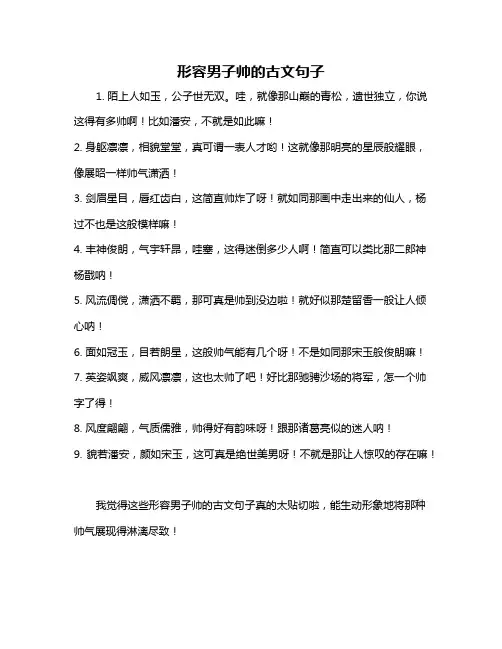 形容男子帅的古文句子