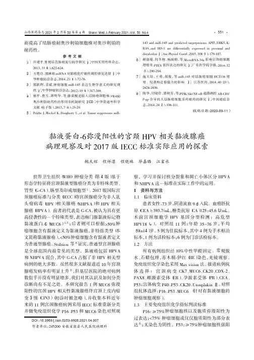 黏液蛋白-6弥漫阳性的宫颈HPV相关黏液腺癌病理观察及对2017版IECC标准实际应用的探索