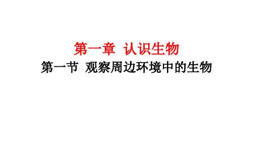 1.1.1观察周边环境中的生物课件-2024--2025学年人教版生物七年级上册(1)