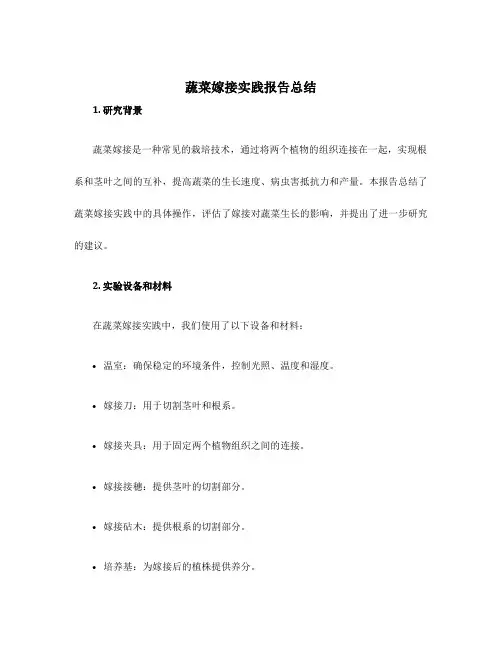 蔬菜嫁接实践报告总结