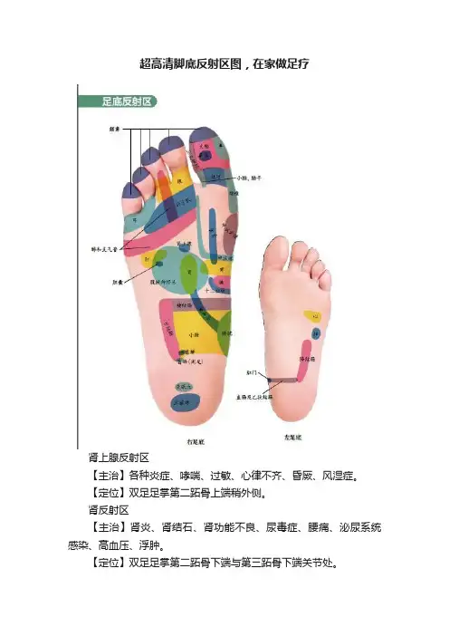 超高清脚底反射区图，在家做足疗