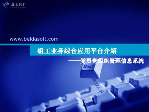 党员党组织管理信息系统方案