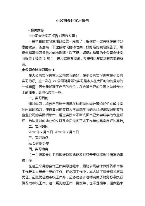 小公司会计实习报告