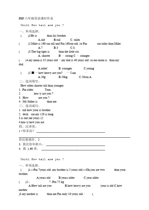 六年级英语课时作业