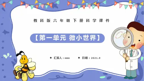 科教版六年级下册科学第一单元《微小世界》合集多媒体演示ppt