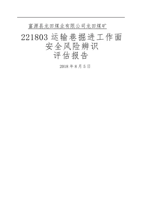 掘进工作面安全风险辨识评估报告