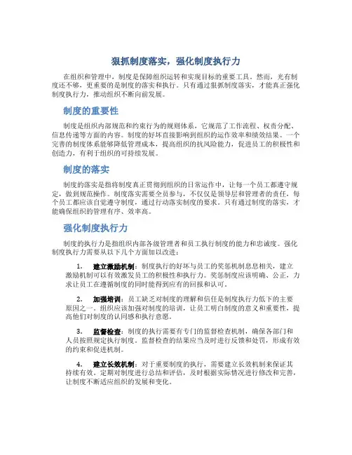 狠抓制度落实强化制度执行力