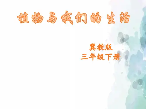 冀教版-科学-三年级下册-冀人版三年级下册科学  植物和我们的生活 课件