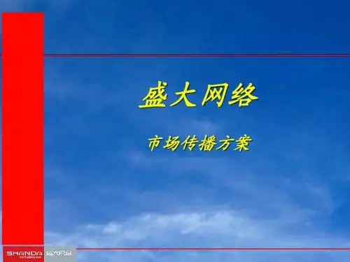 盛大网络市场传播方案