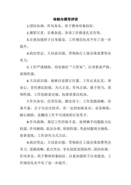 体制内领导评语