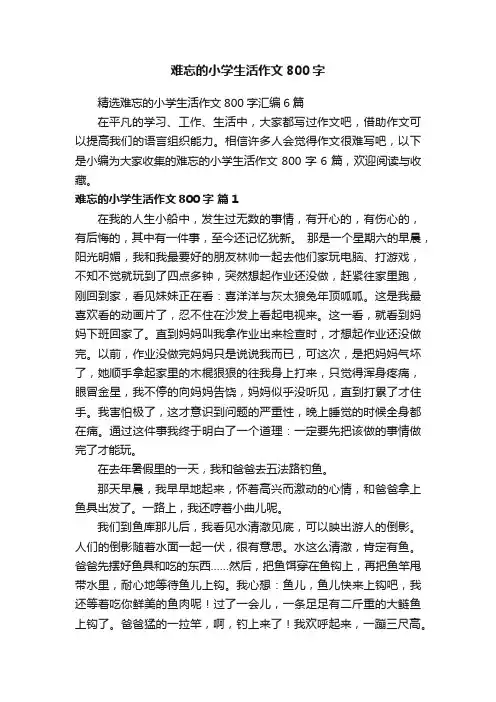 精选难忘的小学生活作文800字汇编6篇