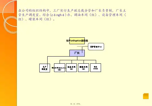公司组织结构图知识讲解