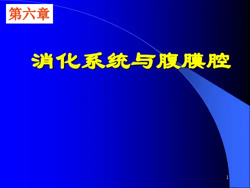 医学影像学PPT第六章 消化系统_胃肠道肝胆胰腺脾脏 - 康达6课件