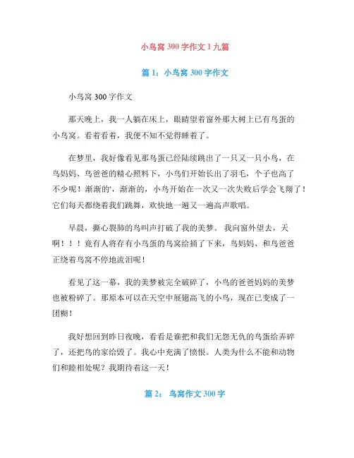 小鸟窝300字作文1九篇