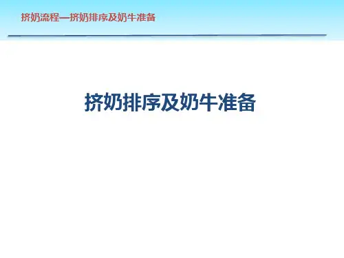 挤奶排序及奶牛准备